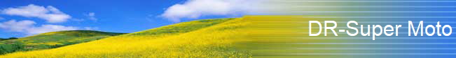 DR-Super Moto
