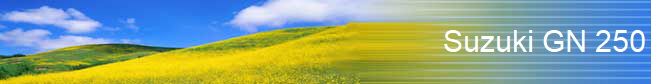 Suzuki GN 250